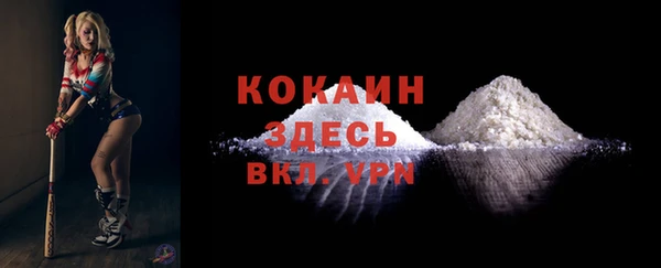 spice Алексин